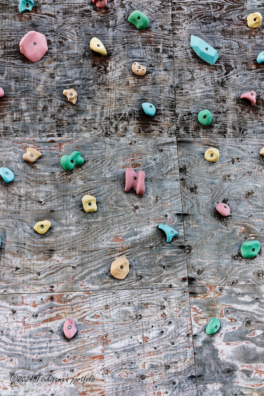 フリークライム SONY Cyber-Shot RX1RII