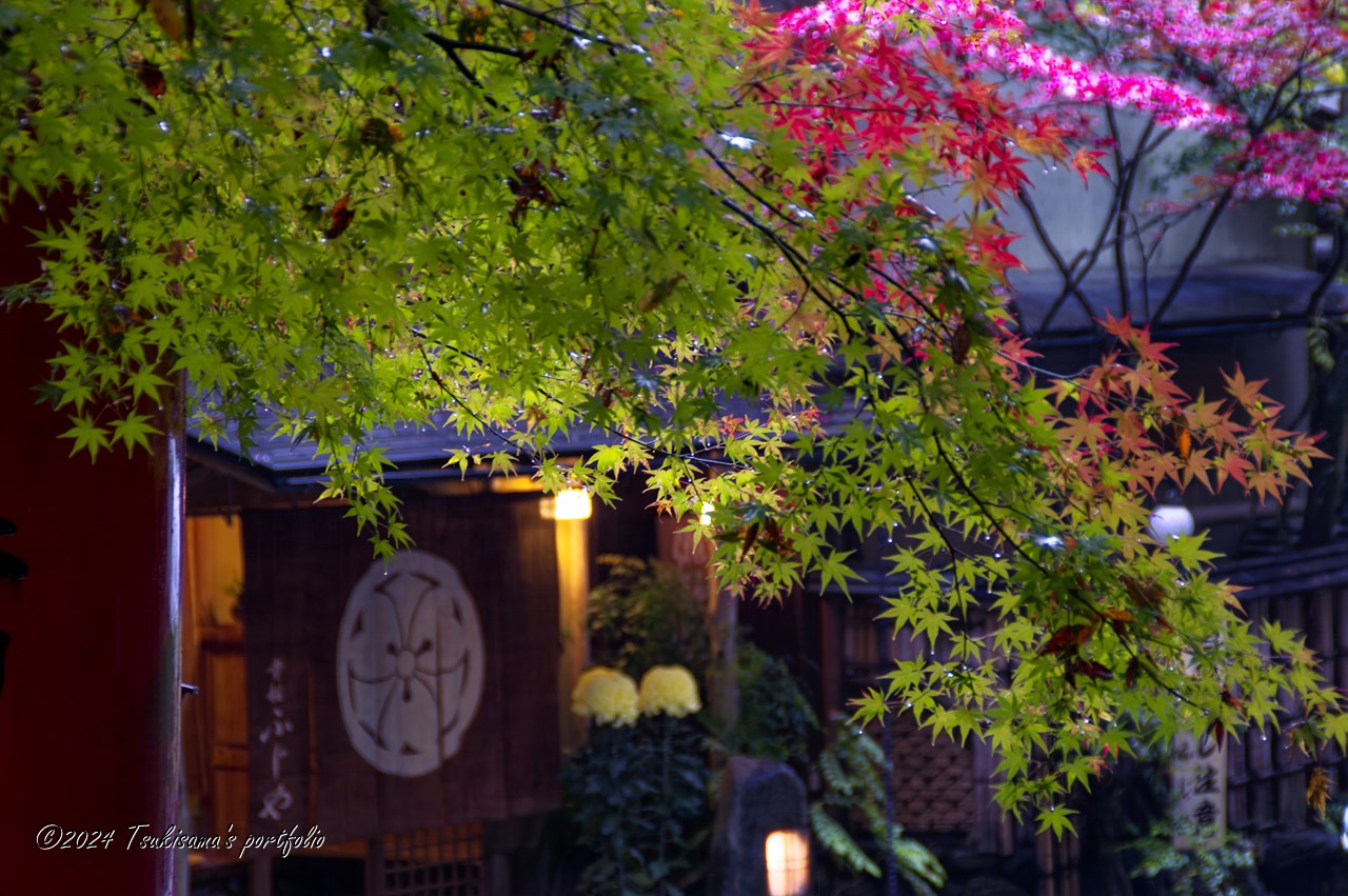 京都に行く時はなぜか雨の日が多い。 KONICA-MINOLTA α7 digital + Konica Minolta AF DT 18-200/3.5-6.3 (D)