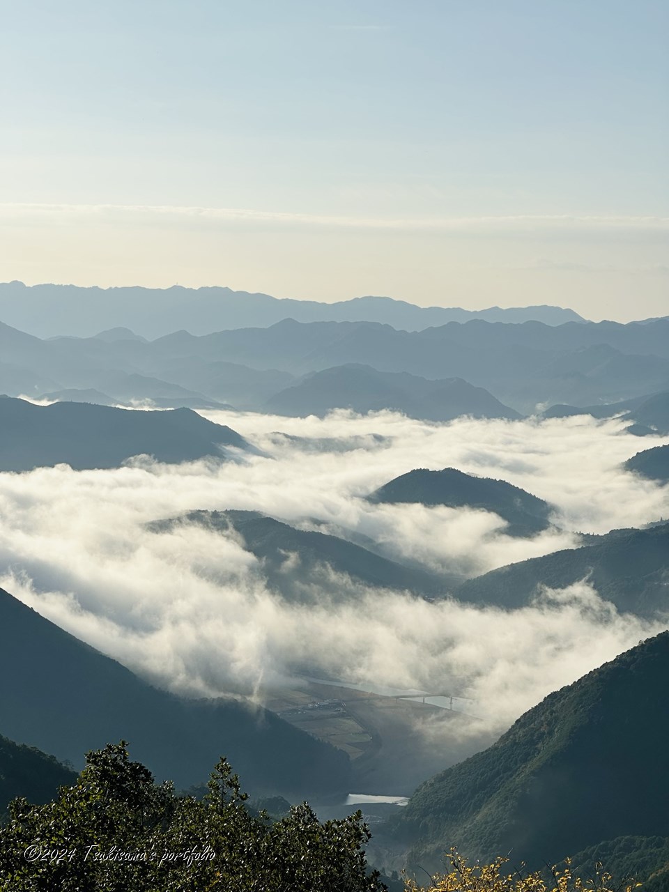 怪我の功名、とも言うべき景色。 熊野古道小辺路から熊野川を望んで。 iphone 14 pro