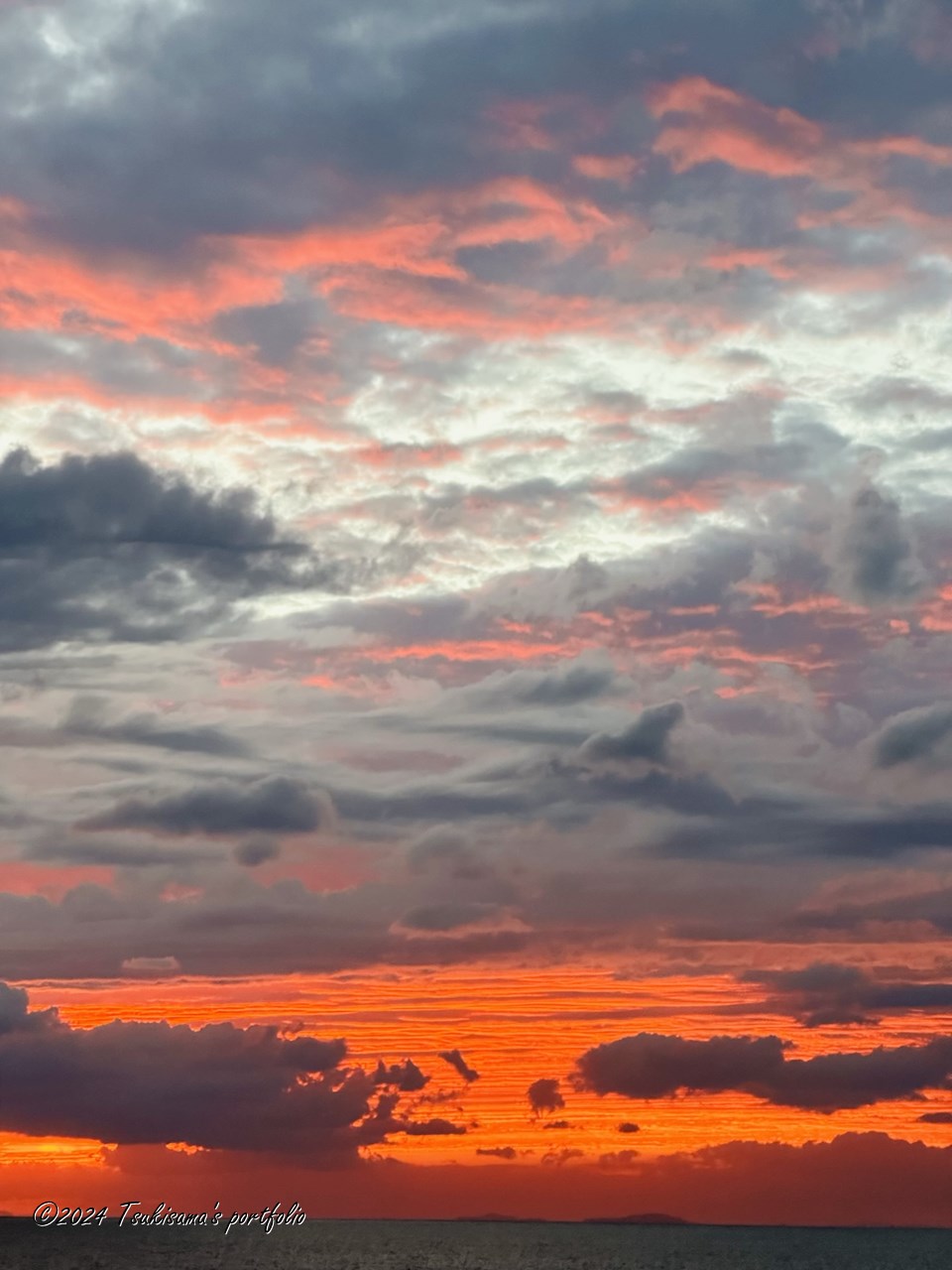 iphone 14 pro買ったのいつだったっけ? と調べてたら、買ってすぐこんなの撮れていたんだ、と思った。 iphone 14 pro