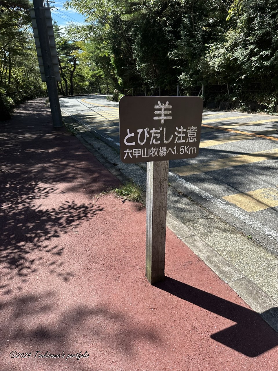 まだ出会ったことはないです。iphone 14 pro