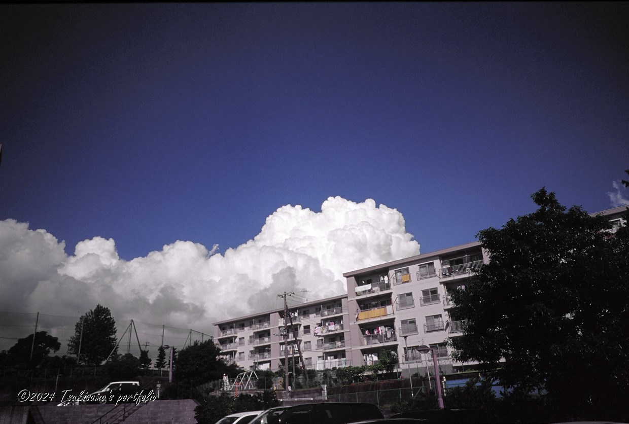 ある夏の入道雲 MINOLTA TC-1 + Kodak EBX (2003/8/12)