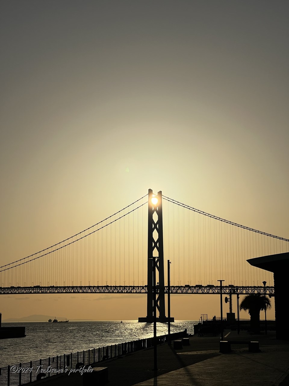 ピッタリ収まりました。 iphone 13 pro max