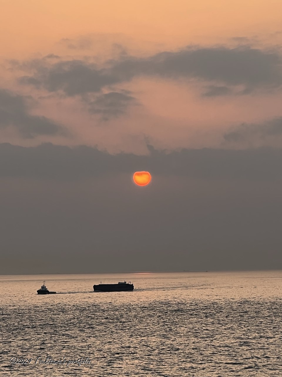 撮れるんだぁ、と味を占めて別の日にもう一枚。 iphone 13 pro max