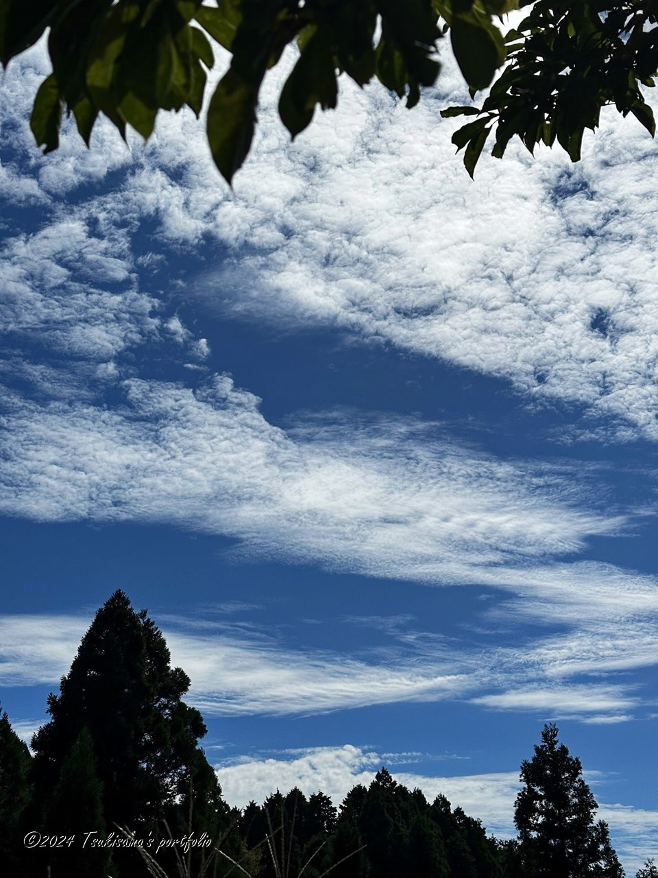 このぐらい雲がある方が、ちょうどいい、と感じます。 すっかり夏になりましたね。 iphone 14 pro