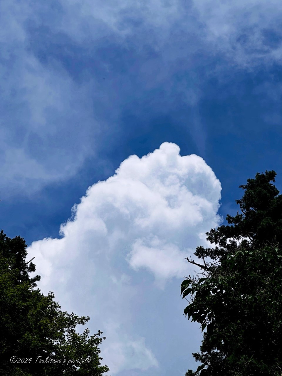 入道雲のお出まし、って感じ。 iphone 14 pro (2023/7/18)