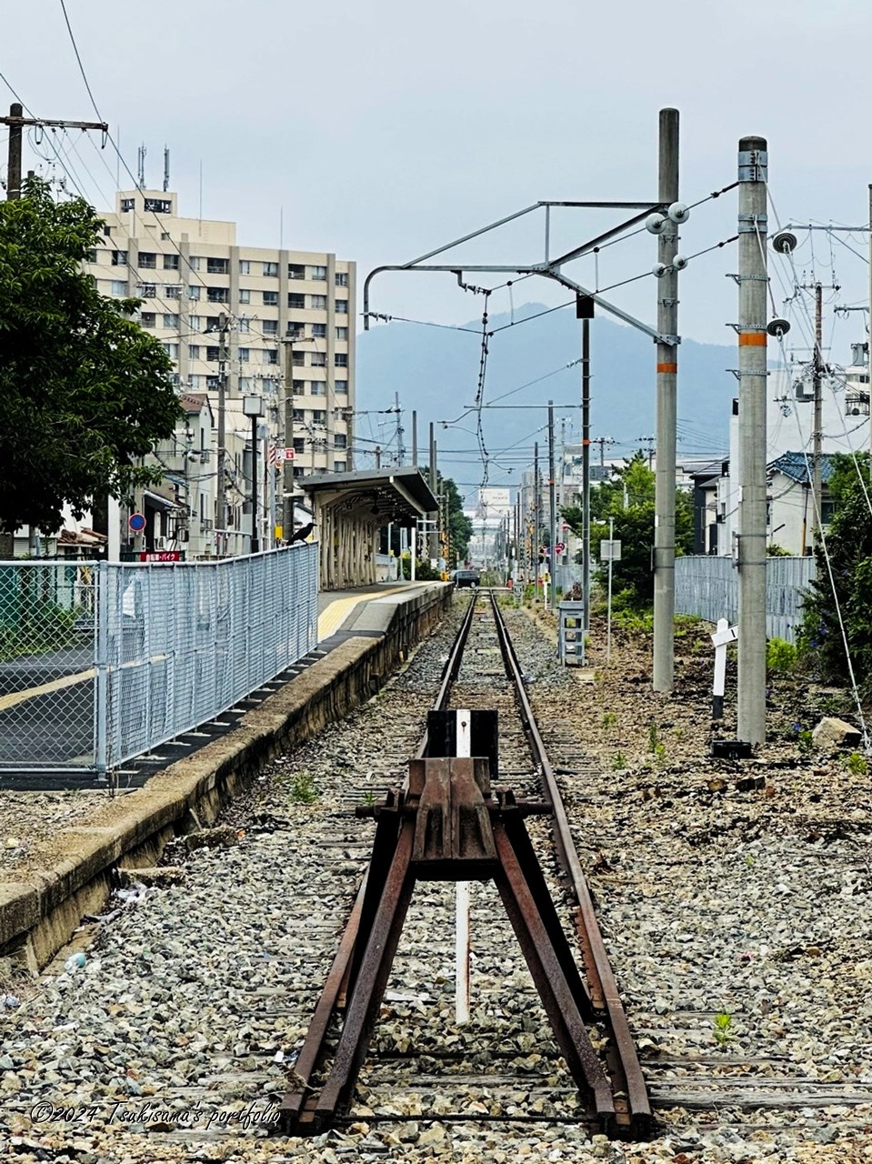 見慣れていたはずだけど、こうしてみると新鮮。 iphone 14 pro