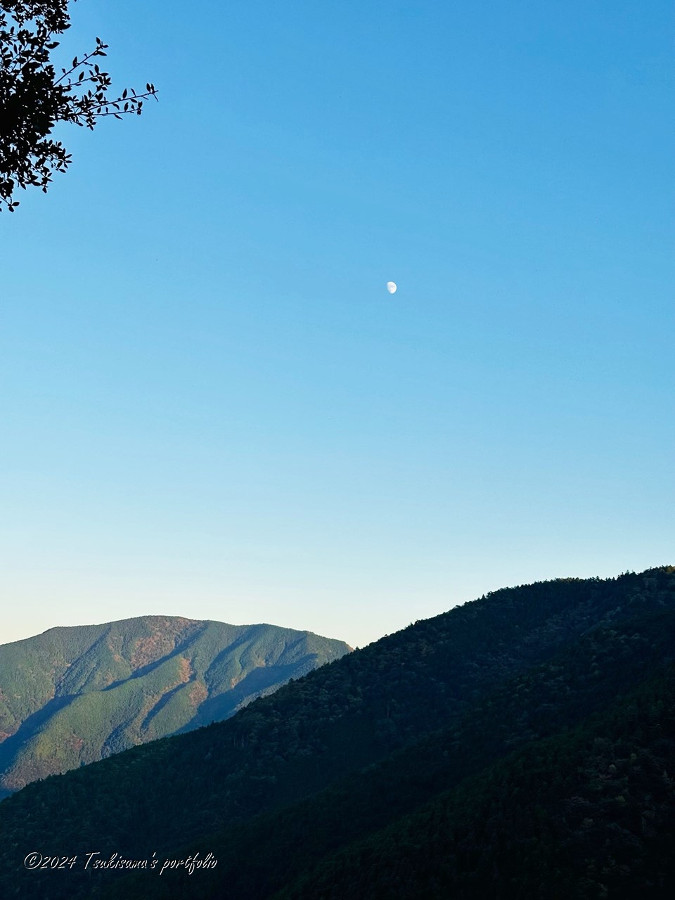 またいつか行って見たい。 熊野古道 小辺路 果無峠に向かう道から見た月 (iphone 14 pro 2022/11/4)