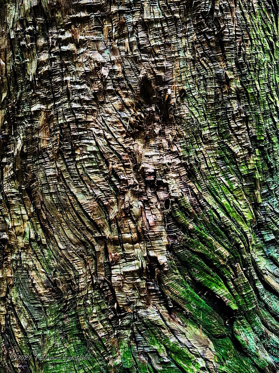 貫禄があるのは大杉さんだけではありません。 iphone 14 pro