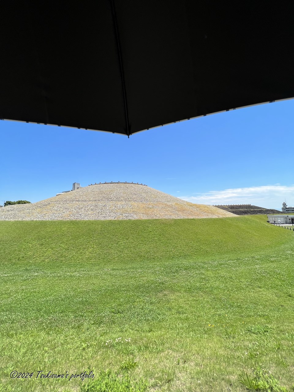 今日も暑そう。日傘必須、ですね。 ご安全に。 iphone 13 pro max