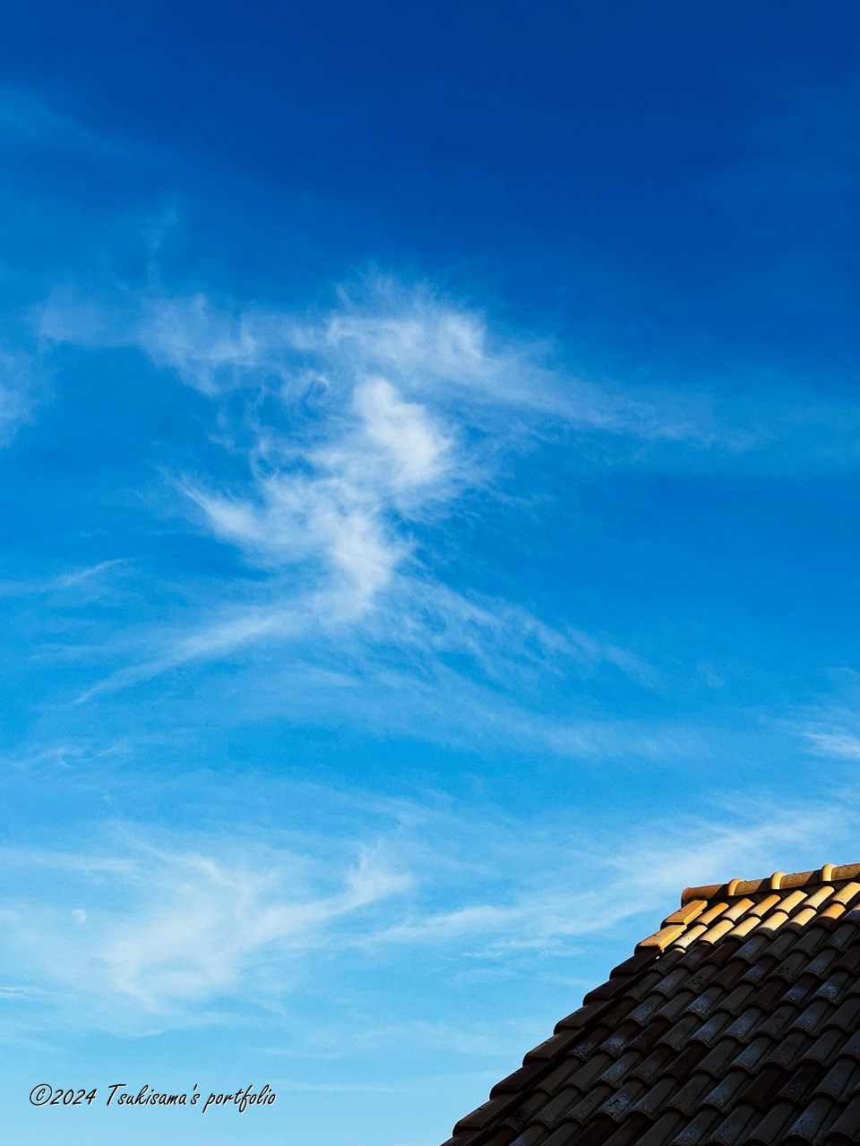 今日は暑くて引きこもってしまいました。 iphone 14 pro