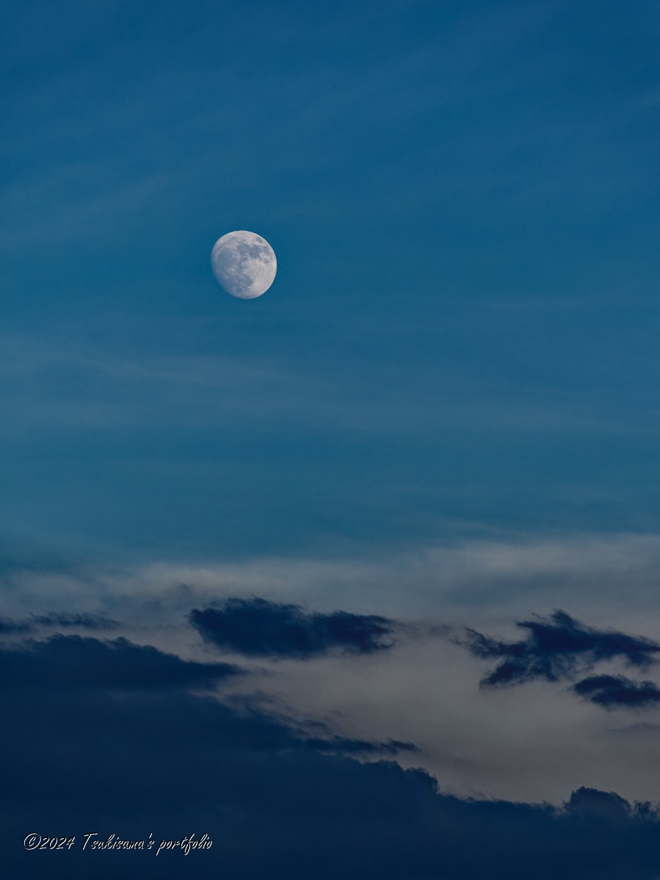 昨日よりは成長してました。 OLYMPUS OM-D E-M1 MarkIII + M.ZUIKO DIGITAL ED 40-150mm F4.0 PRO