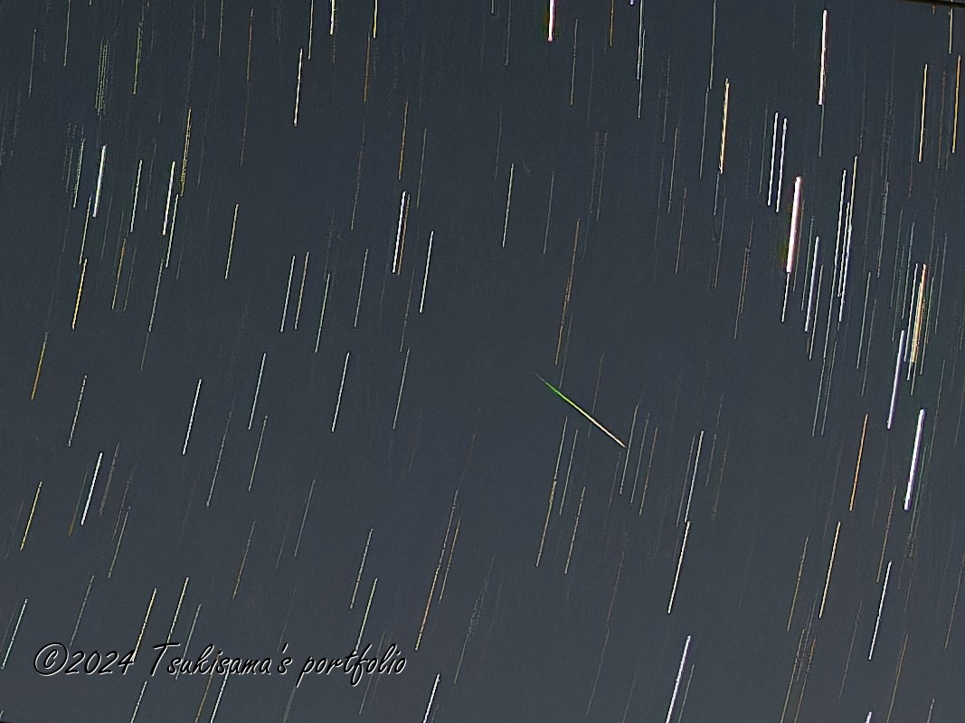 ペルセウス座流星(群)。2023/8/12 0:44頃の出来高。OLYMPUS OM-D E-M1 MarkIII + M.ZUIKO DIGITAL ED 7-14mm F2.8 PRO