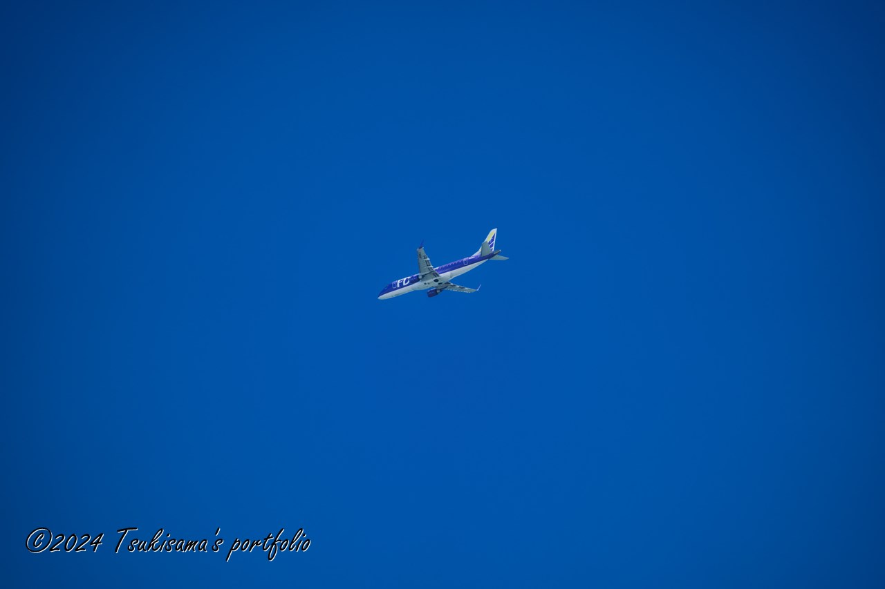 台風一過の青空に紫のボディーが良い感じ。SONY α99II + SONY 70-300mm F4.5-5.6 G SSM II