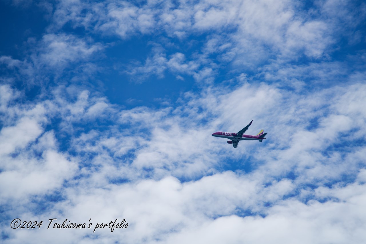 少し秋らしい空になってきた気がします。SONY α99II + SONY 70-300mm F4.5-5.6 G SSM II