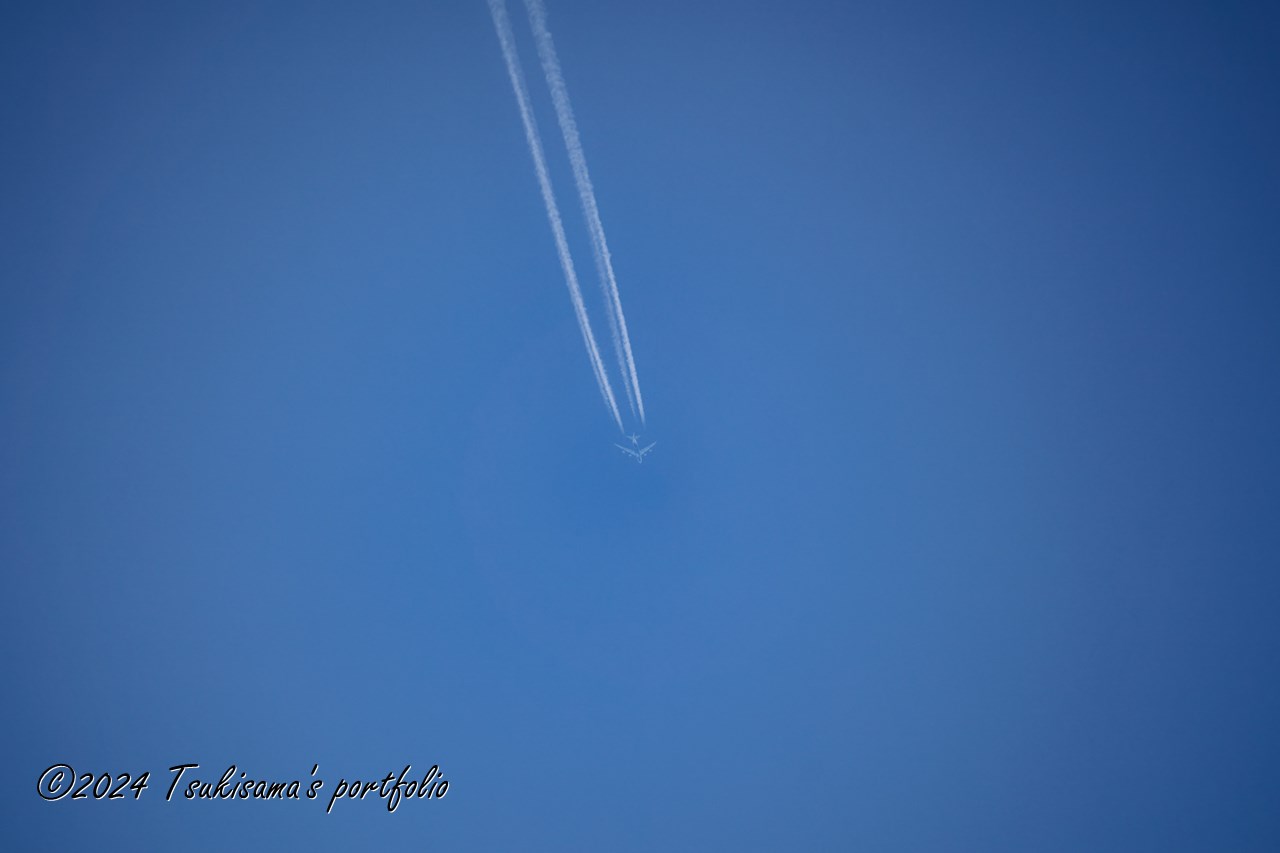 妙に音が聞こえる、と見上げたらB-747。4発エンジンはやっぱりすごい。SONY α99II + SONY 70-300mm F4.5-5.6 G SSM II