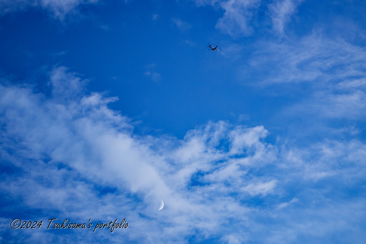 お月さまとコラボ、するにはちょっと遠いかな。SONY α99II + SONY 70-300mm F4.5-5.6 G SSM II