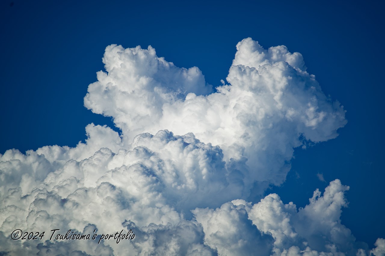 まだまだ入道雲の出番は続きそうです。SONY α99II + SONY 70-300mm F4.5-5.6 G SSM II