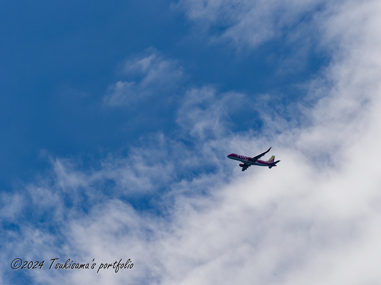 くもり雨が続くと青空が恋しくなります。OLYMPUS OM-D E-M1 MarkIII + M.ZUIKO DIGITAL ED 40-150mm F4.0 PRO