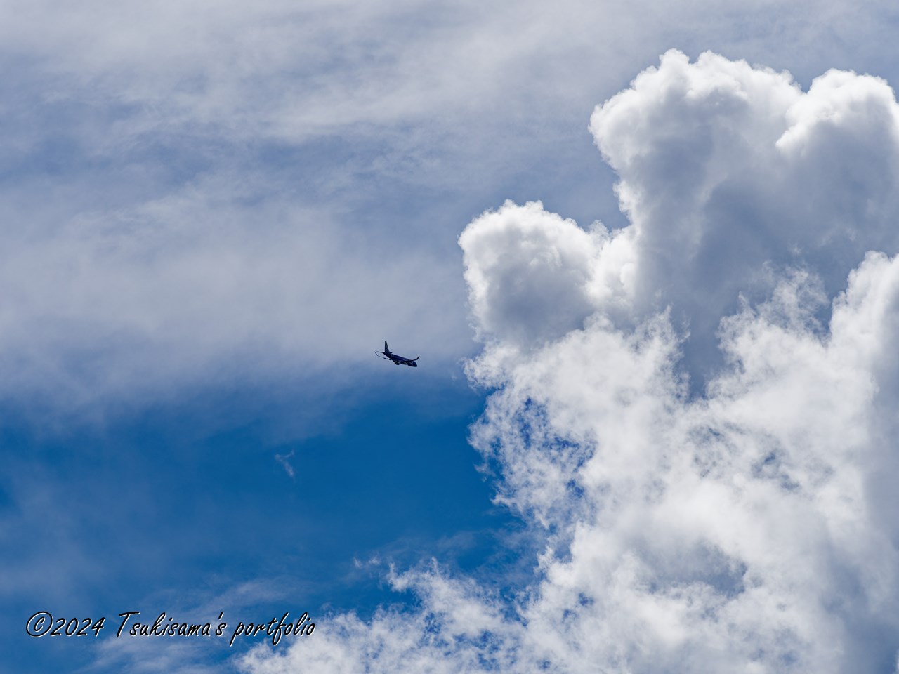 雲が、犬に見えました。OLYMPUS OM-D E-M1 MarkIII + M.ZUIKO DIGITAL ED 40-150mm F4.0 PRO