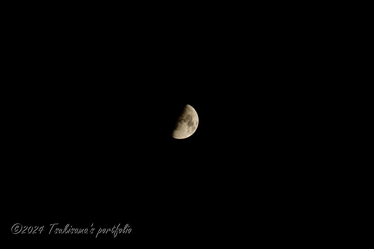 存在感が出てきました。SONY α99II + SONY 70-300mm F4.5-5.6 G SSM II (2023/8/25)