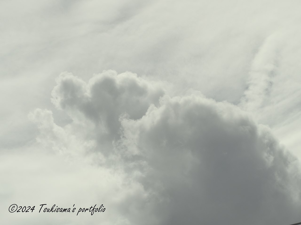 犬に見えた雲。OLYMPUS OM-D E-M1 MarkIII + M.ZUIKO DIGITAL ED 40-150mm F4.0 PRO (アートフィルター デイドリーム2)
