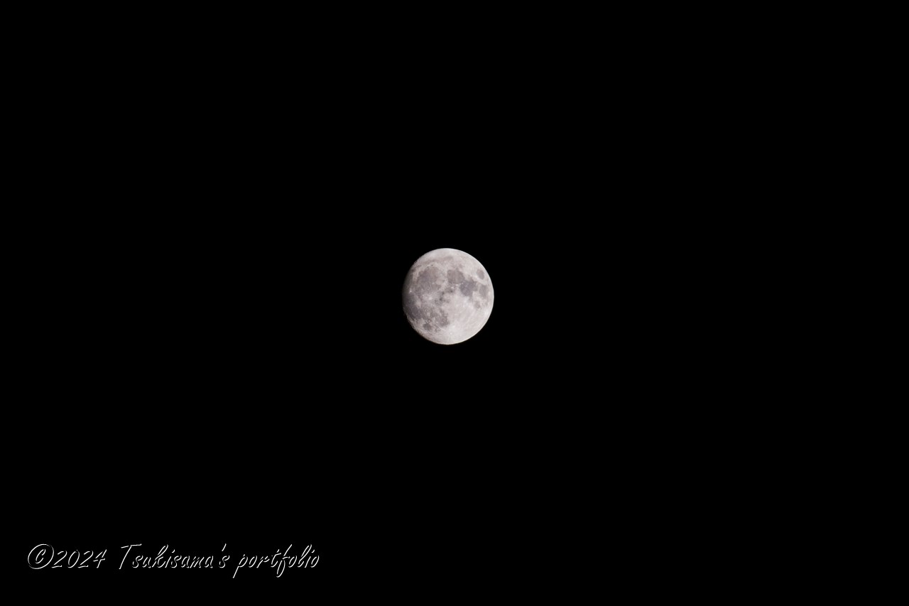 ほぼほぼ満月(96%ぐらい)ですね。SONY α99II + SONY 70-300mm F4.5-5.6 G SSM II (2023/8/29)