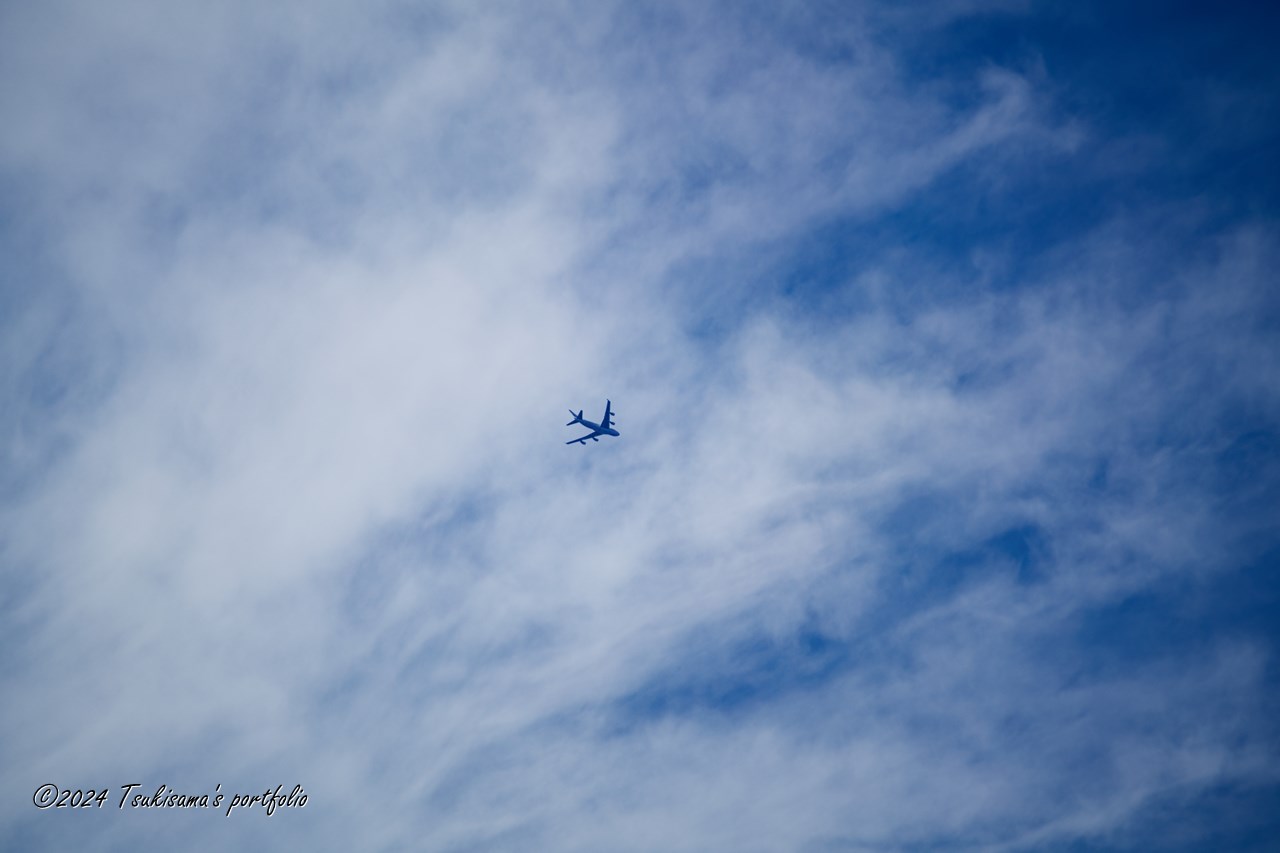 曇っているわけでもなくスパッと快晴でもなくさえない空模様。SONY α99II + SONY 70-300mm F4.5-5.6 G SSM II