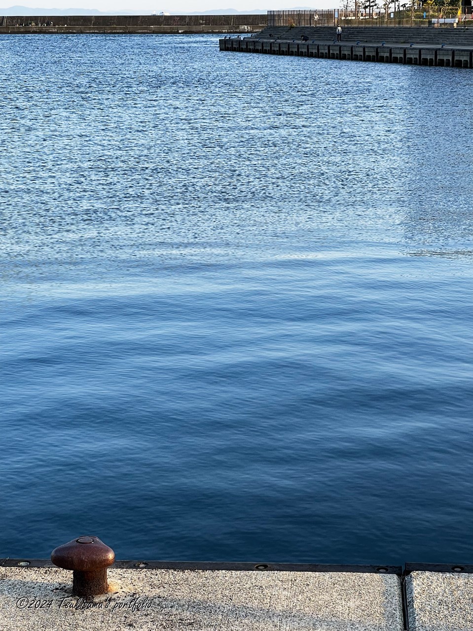 こういう景色を見て心穏やかに過ごしたい、と思った日。iphone 14 pro