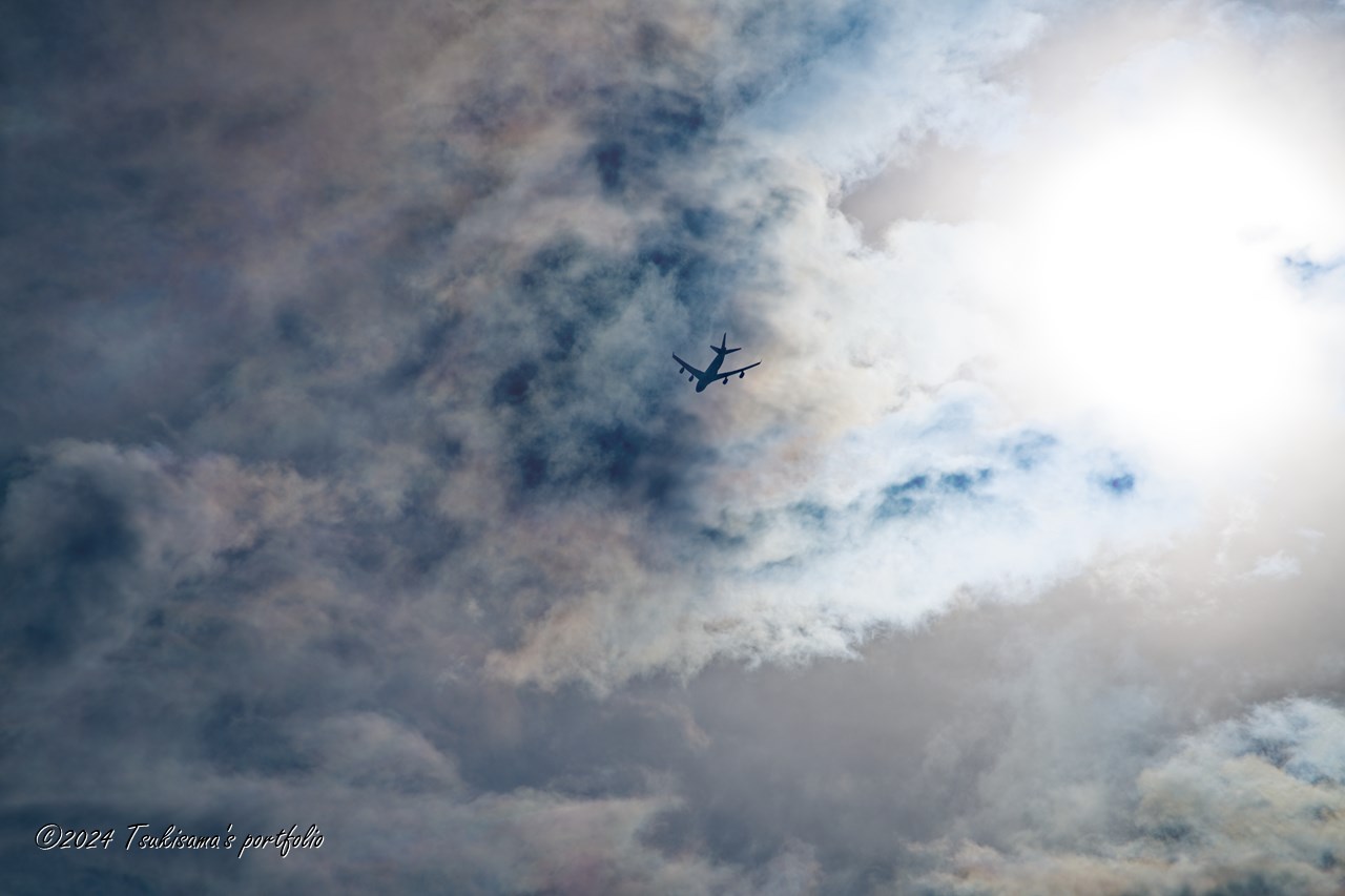 複雑な空模様が多い気がします。SONY α99II + SONY 70-300mm F4.5-5.6 G SSM II