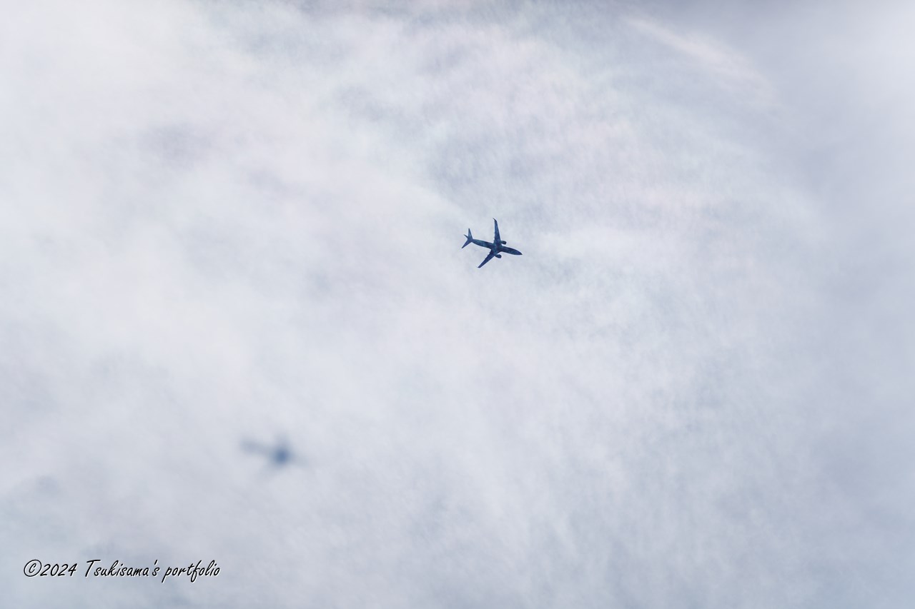 影法師。SONY α99II + SONY 70-300mm F4.5-5.6 G SSM II