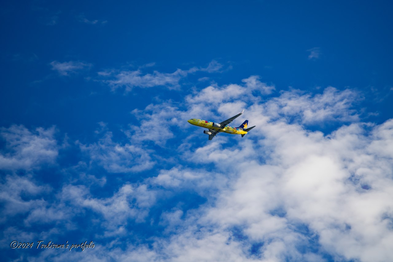 雲は比較的多いですがまだ日差しが暑いです。SONY α99II + SONY 70-400mm F4-5.6 G SSM II