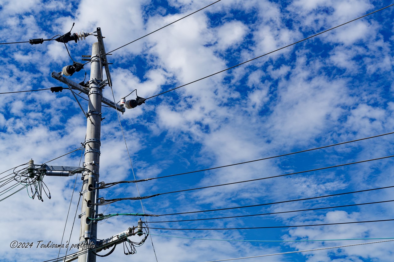 コイツを避けるのは至難の業。SONY α99II + SONY Planar T＊ 50mm F1.4 ZA SSM