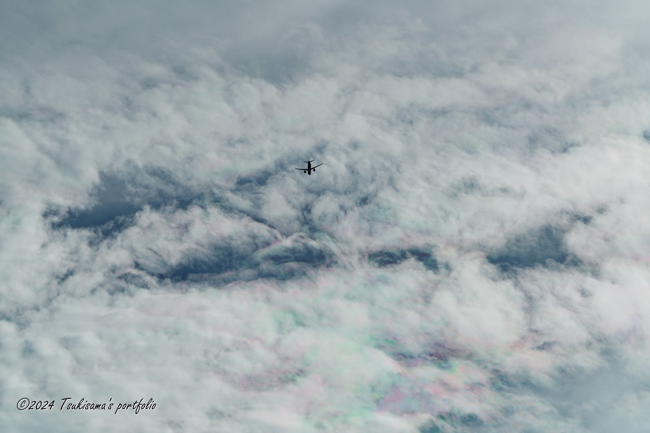 お天気は下り坂の予報。SONY α99II + SONY 70-400mm F4-5.6 G SSM II