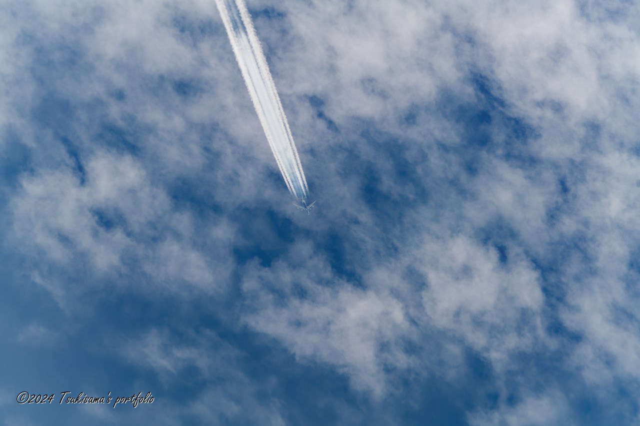 曇雨の予報ですが、風強く、タイミング良ければ青空を見ることができます。SONY α99II + SONY 70-400mm F4-5.6 G SSM II