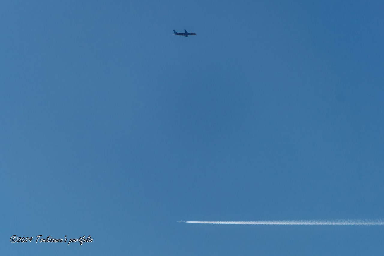 どのぐらい離れてるのかな。SONY α99II + SONY 70-400mm F4-5.6 G SSM II