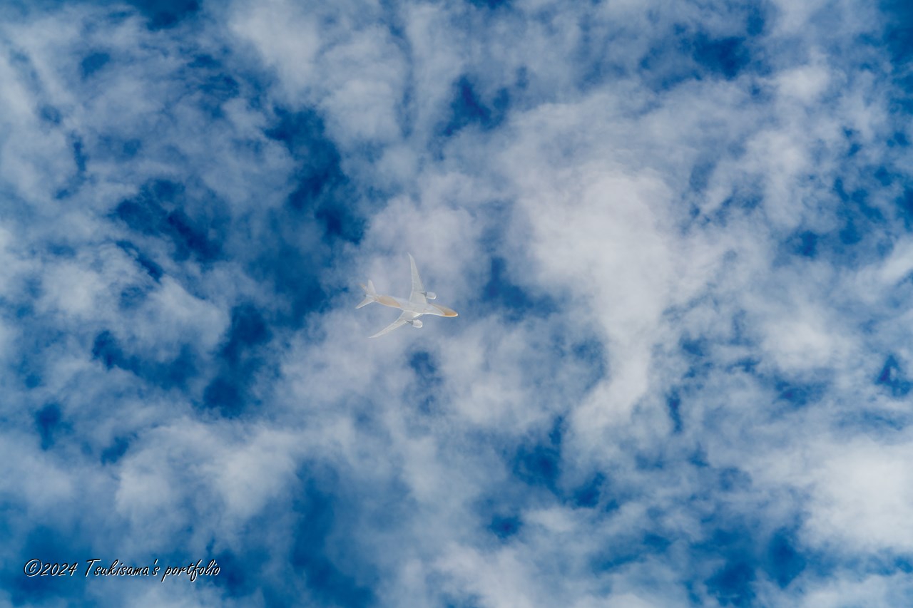 晴れてるようで意外と雲が多い天気。SONY α99II + SONY 70-400mm F4-5.6 G SSM II