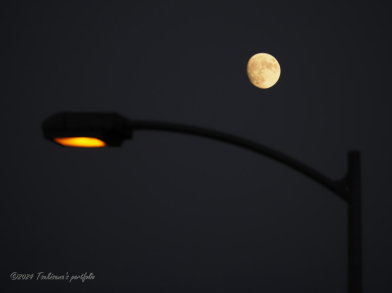 どっちが明るい?OLYMPUS OM-D E-M1 MarkIII + M.ZUIKO DIGITAL ED 40-150mm F4.0 PRO