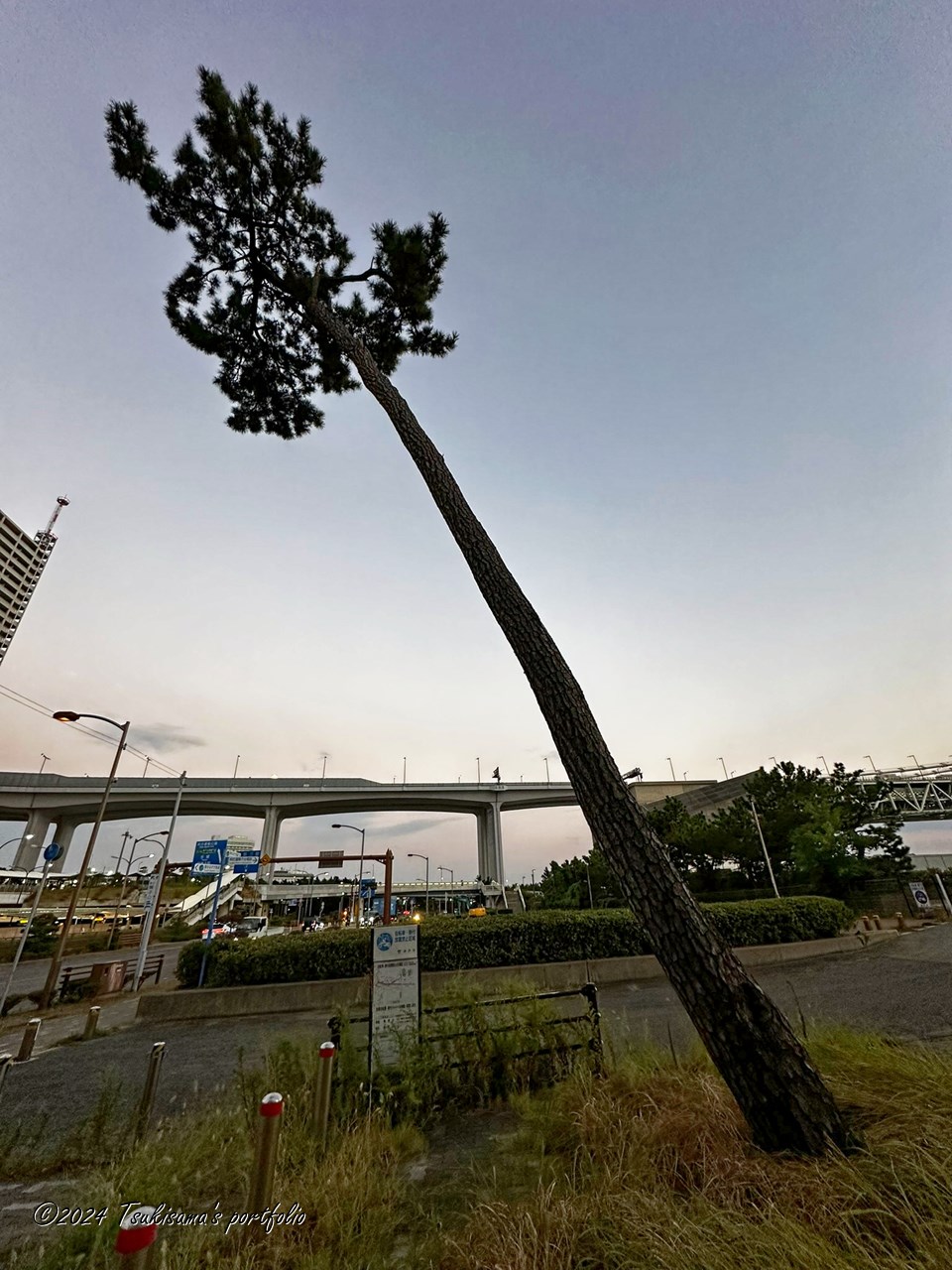 レンズのせいではありません。iphone 14 pro