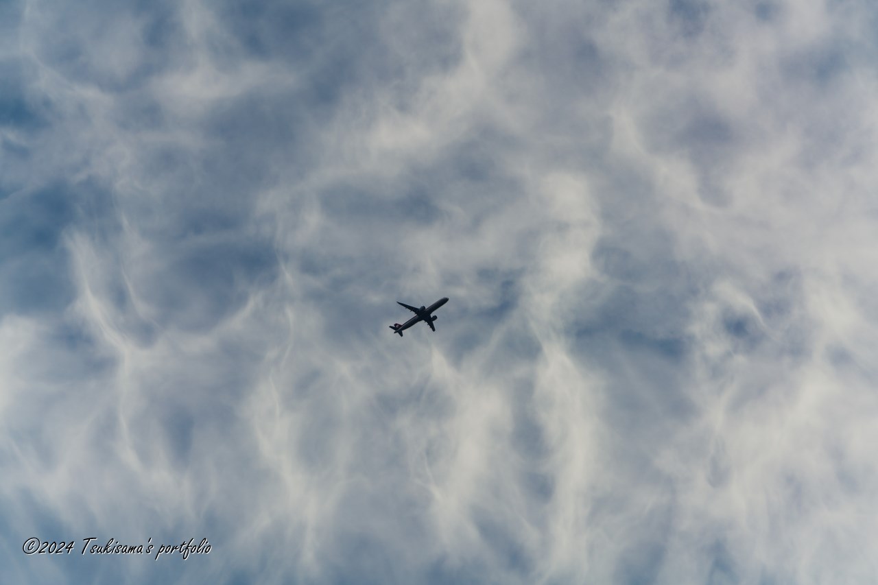 まるで水中にいるみたい。SONY α99II + SONY 70-400mm F4-5.6 G SSM II