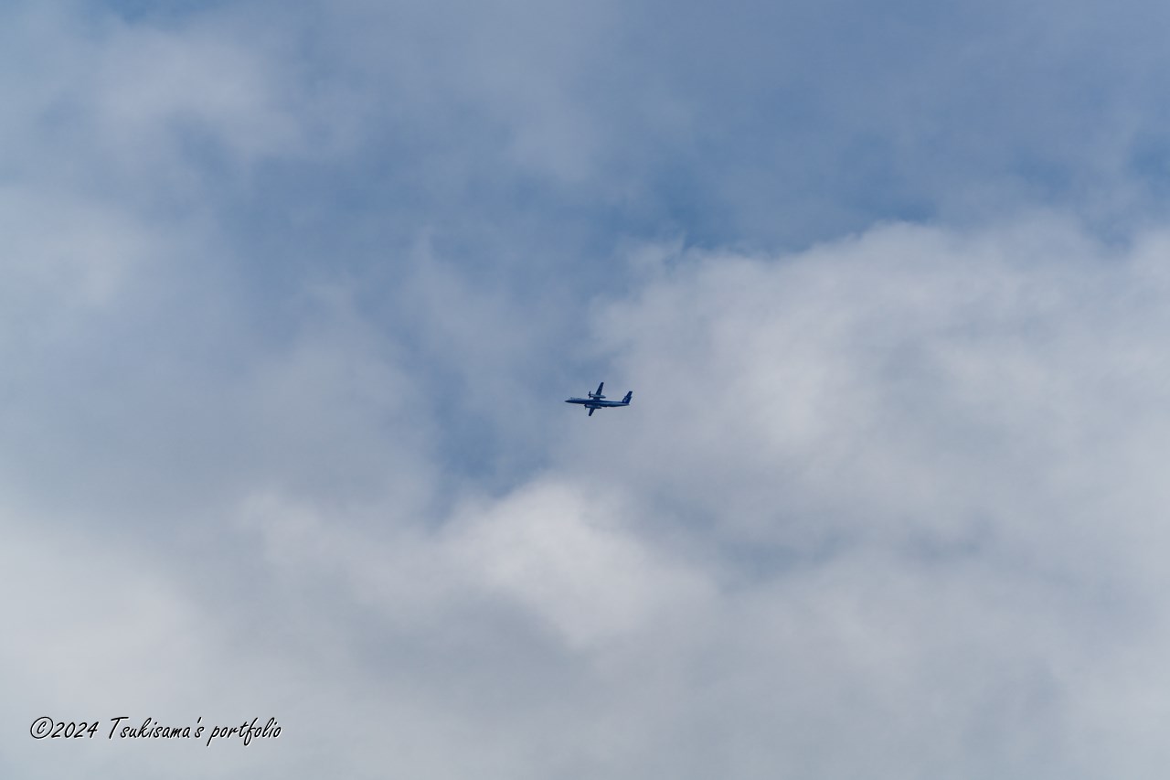 冴えない天気ですが、ぼちぼち行きます。SONY α99II + SONY 70-400mm F4-5.6 G SSM II