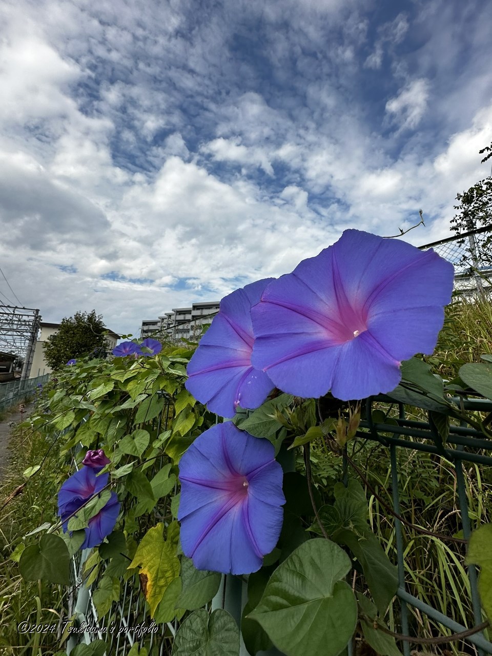 晴れ間もありましたが、この後下り坂で雨。iphone 14 pro
