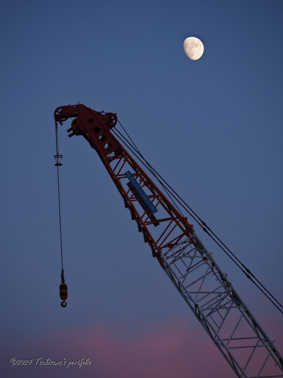 見たかった組み合わせ。OLYMPUS OM-D E-M1 MarkIII + M.ZUIKO DIGITAL ED 40-150mm F4.0 PRO