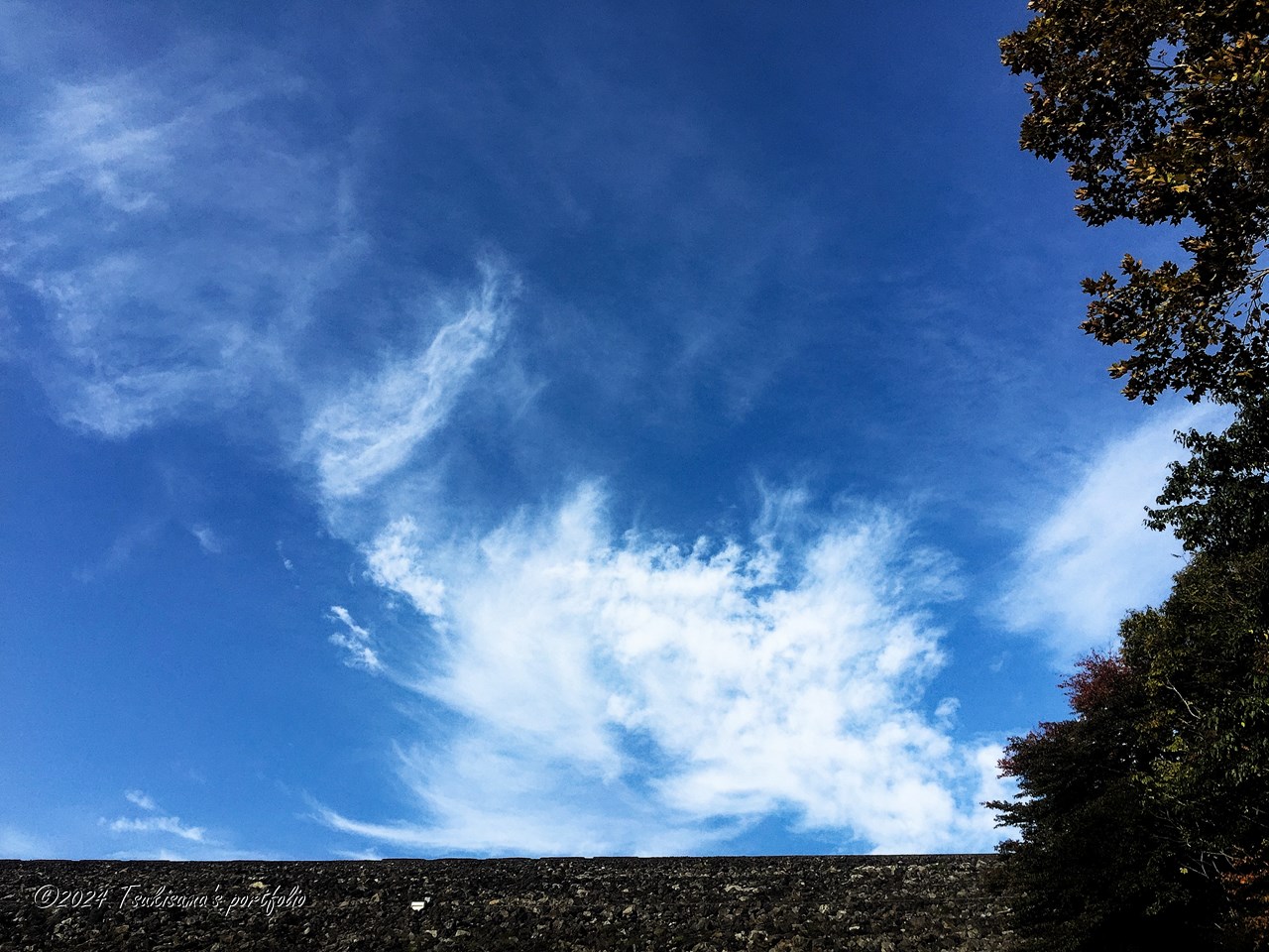 秋の空は高いといわれますが、なんとなくわかる気がします。 iphone 6 (2014/10/26)