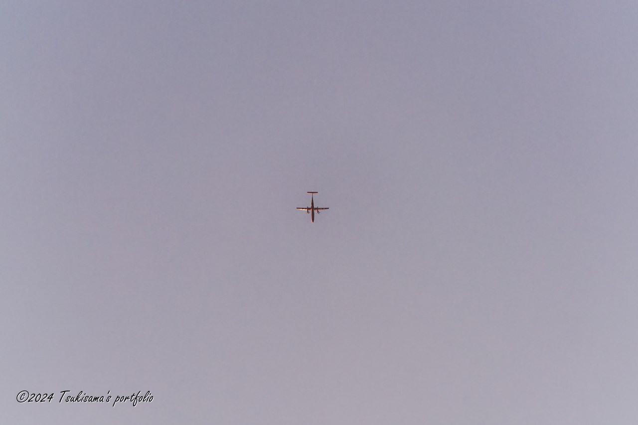 お天気は下り坂ですが、降下しているわけではありません。 SONY α99II + SONY 70-400mm F4-5.6 G SSM II
