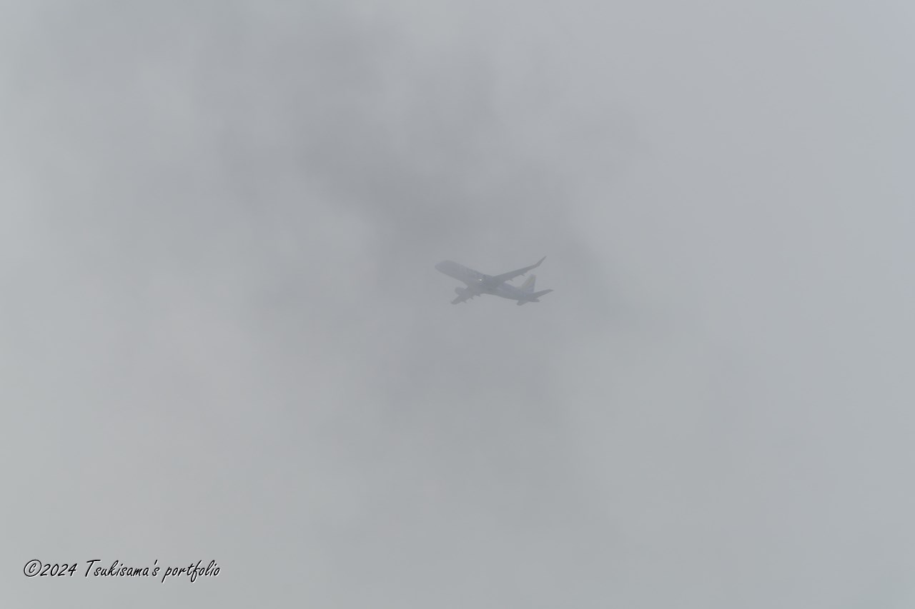 晴れてほしかったです。 SONY α99II + SONY 70-400mm F4-5.6 G SSM II