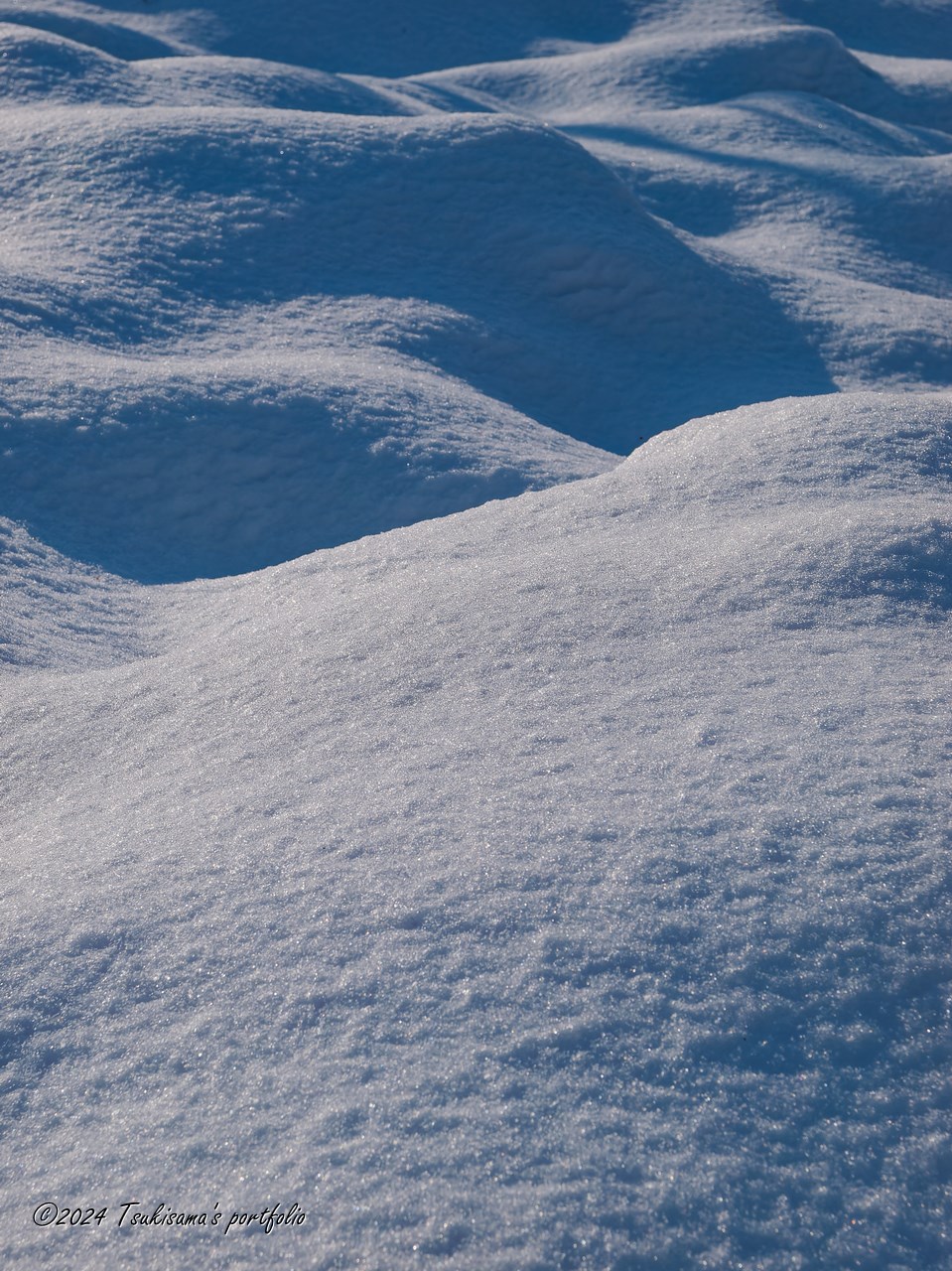 冬らしくなってきました。(いいのか良くないのか。。。) OLYMPUS E-3 + ZUIKO DIGITAL 14-54mm F2.8-3.5 (2011/2/15)
