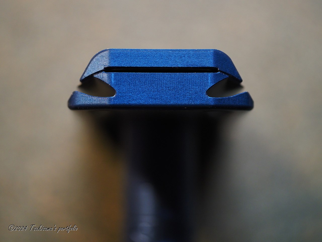 こういうモノをマジマジと見てニヤニヤすることが増えました。 OLYMPUS OM-D E-M1 MarkIII + LEICA DG MACRO-ELMARIT 45mm F2.8 ASPH