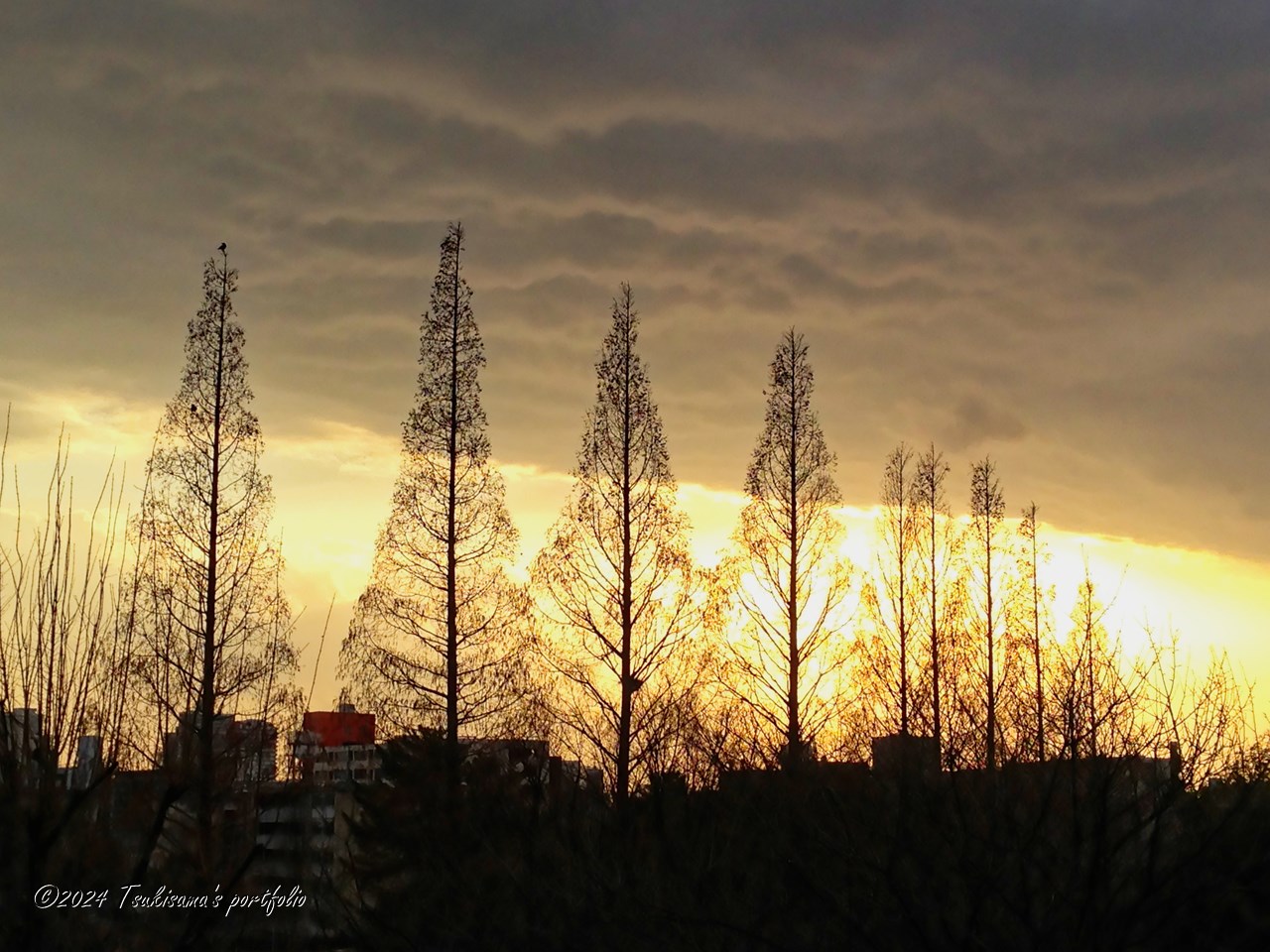 クリスマスらしいでしょうか。 iphone 5 (2013/1/2)