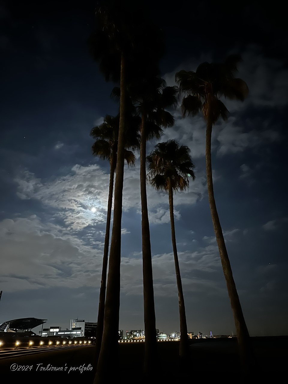 一足早く今日がワタシの仕事納めでした。 満月は明日だったようですが、お月見かねて寄り道して帰宅。 良い眺めでした。 iphone 14 pro